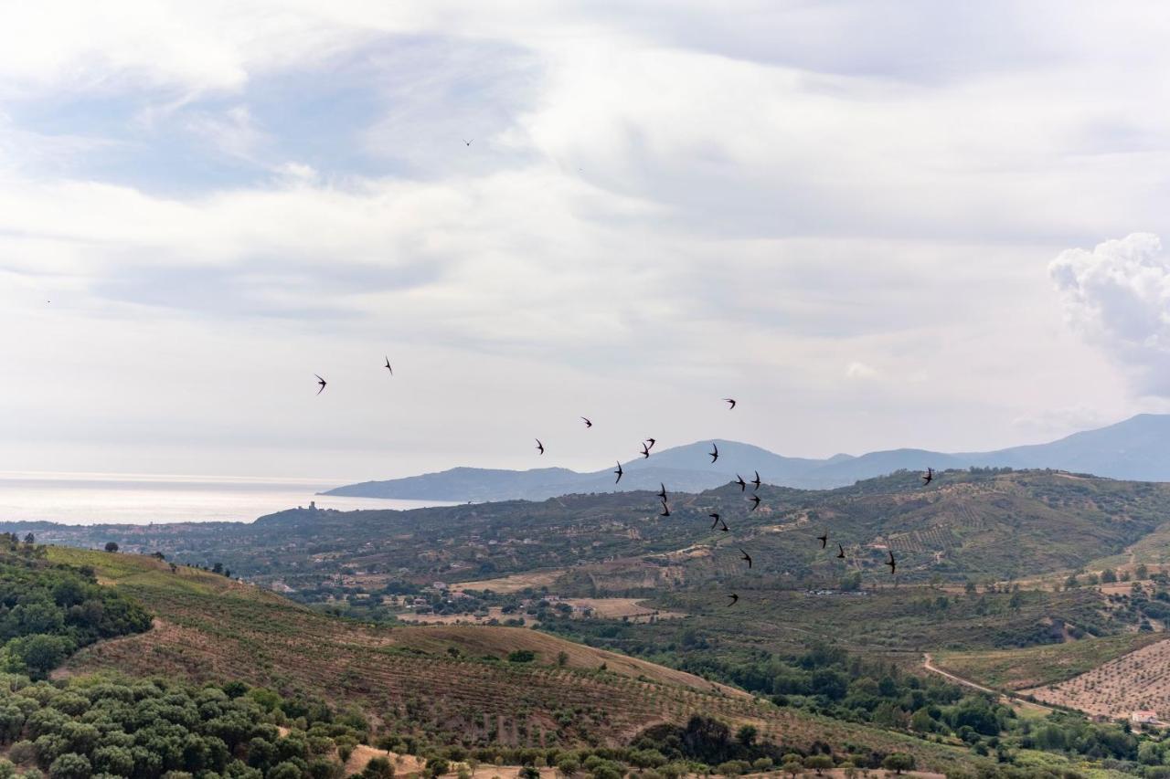 Terradura Corte Degli Ulivi מראה חיצוני תמונה