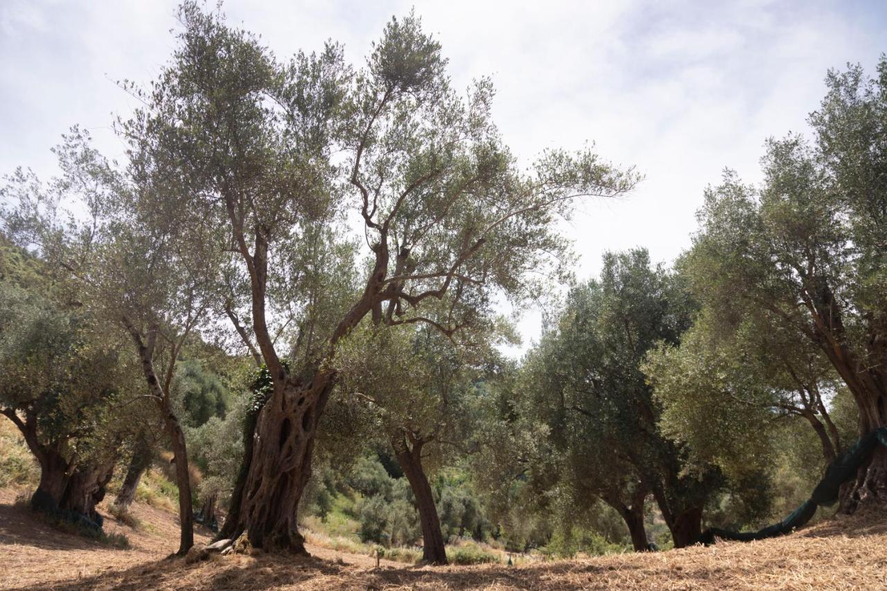Terradura Corte Degli Ulivi מראה חיצוני תמונה